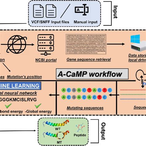 cbmp|cbmp workflow system.